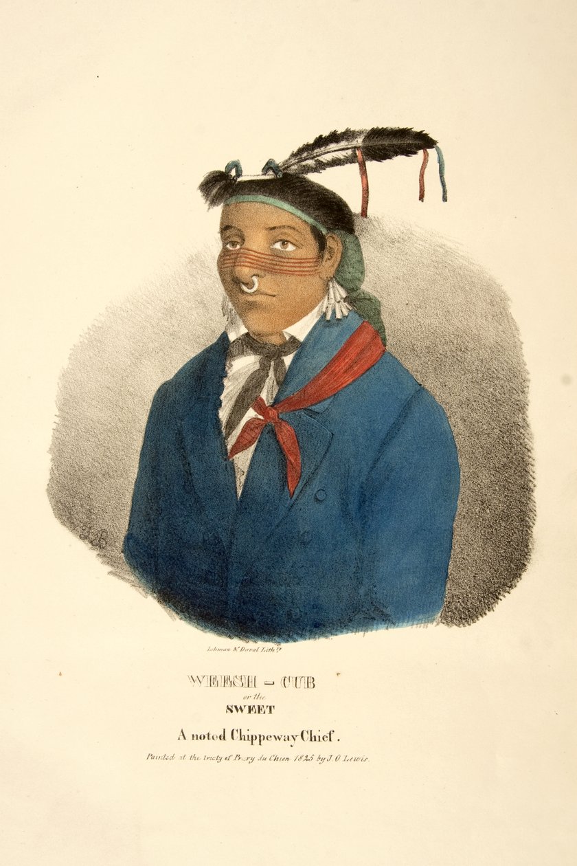 Weesh-cub czy Sweet autorstwa James Otto Lewis