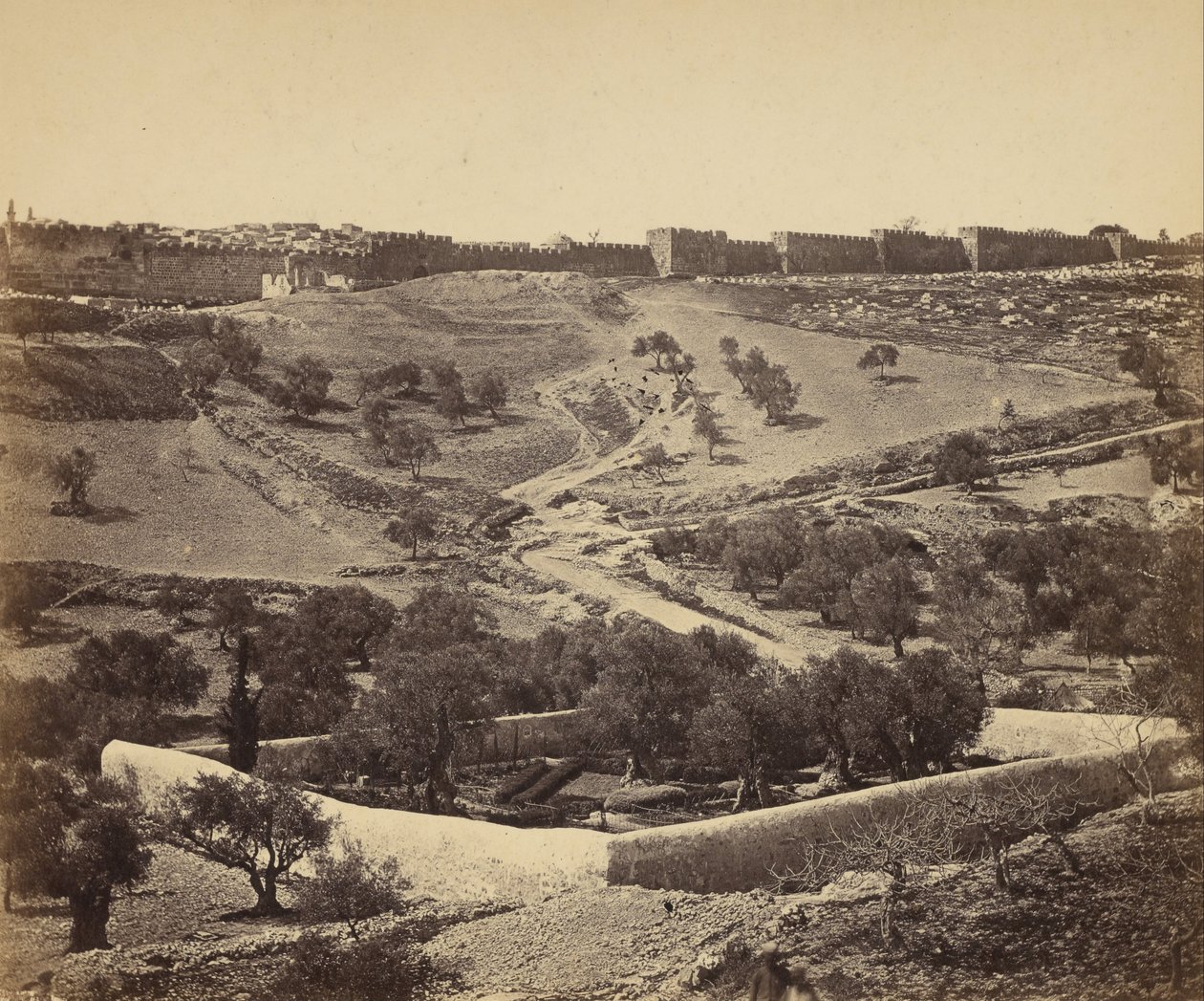 (Jerozolima. Ogród Getsemani) autorstwa James Robertson