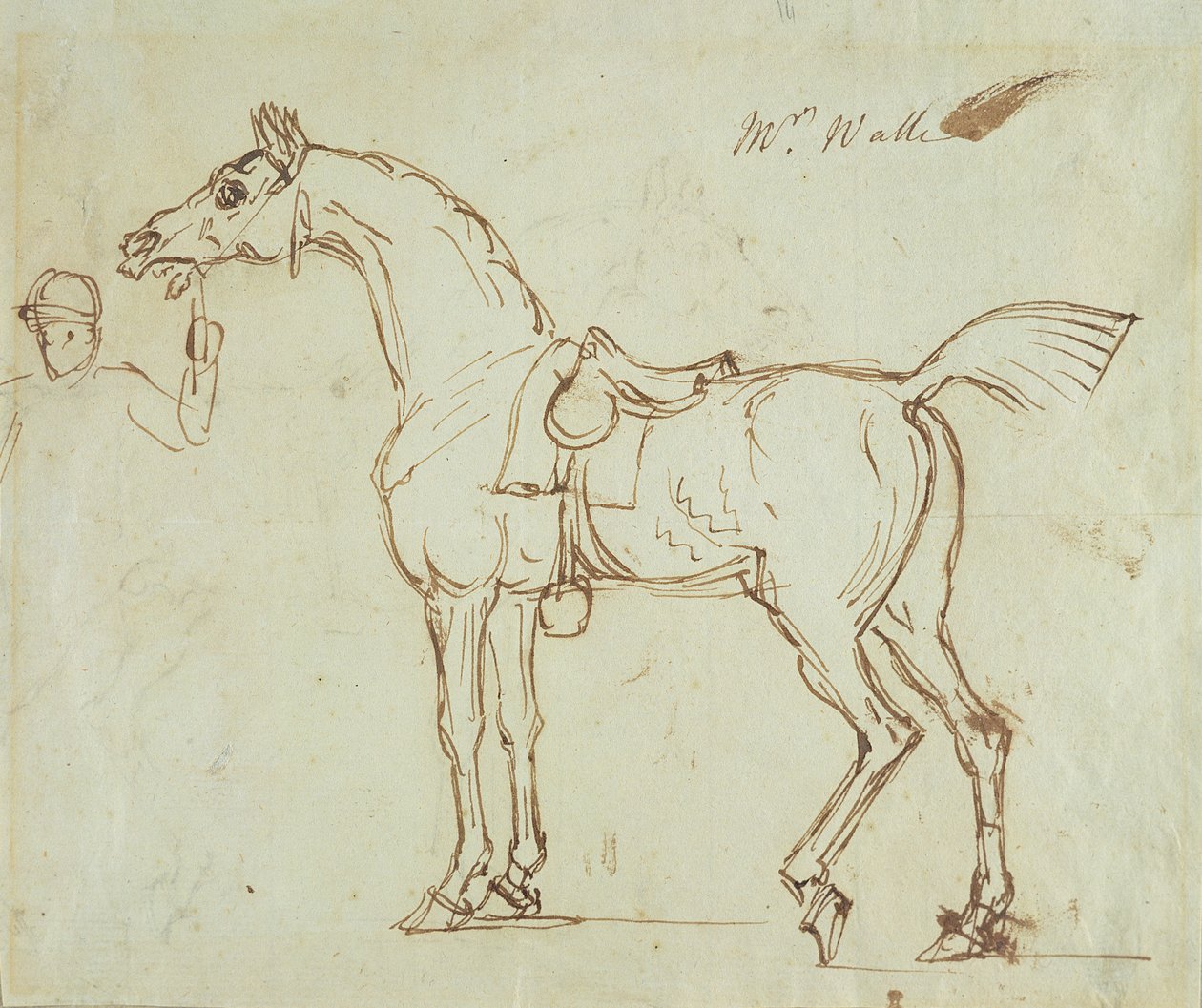 Koń wyścigowy, ogłowiony i osiodłany (pióro i atrament na papierze) autorstwa James Seymour
