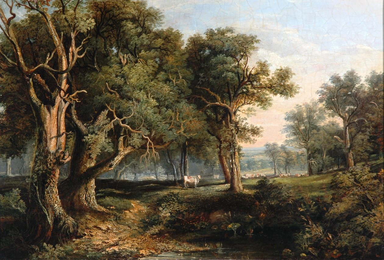 Scena leśna autorstwa James Stark