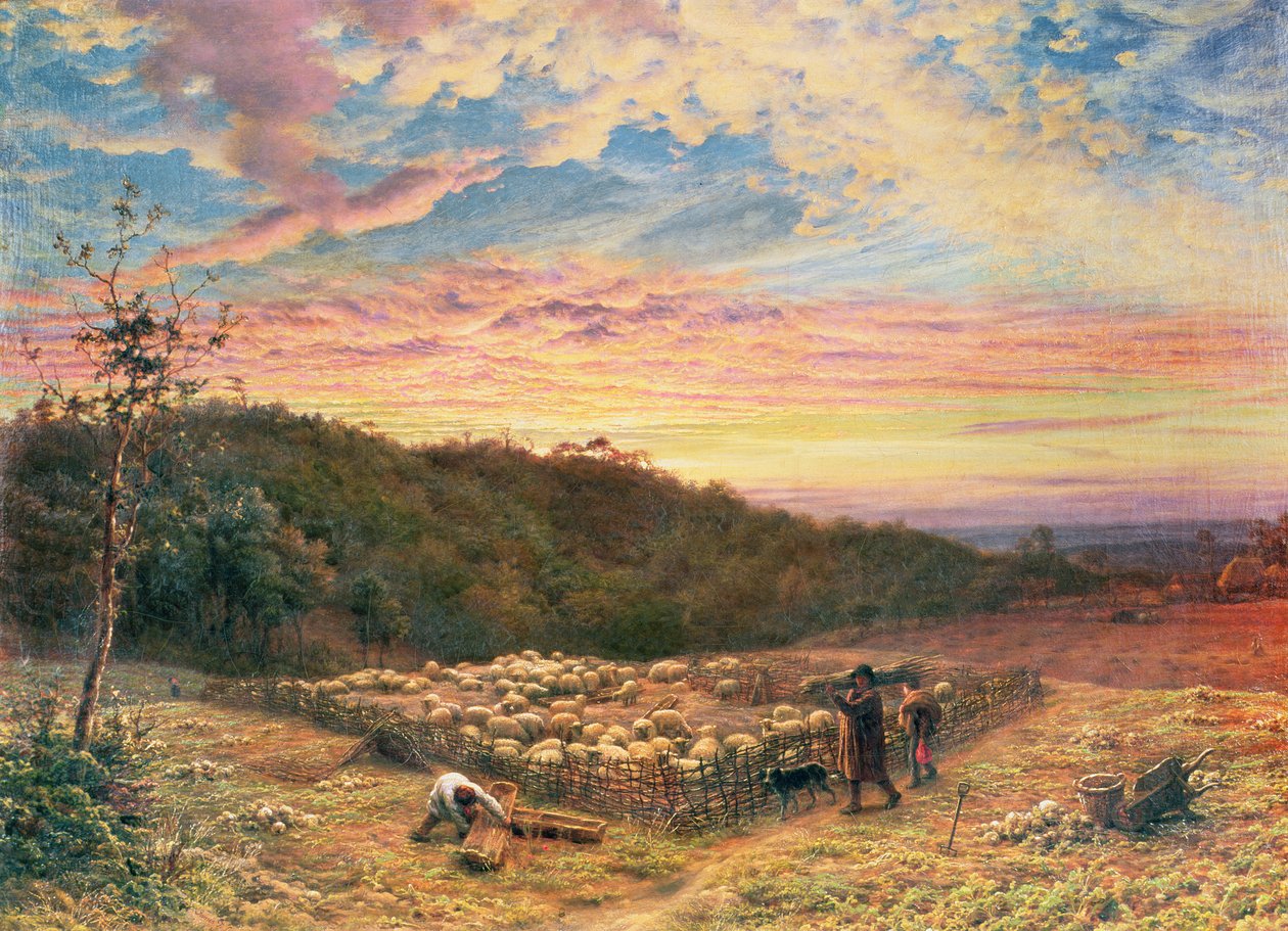 Owczarnia - poranek jesienią autorstwa James Thomas Linnell