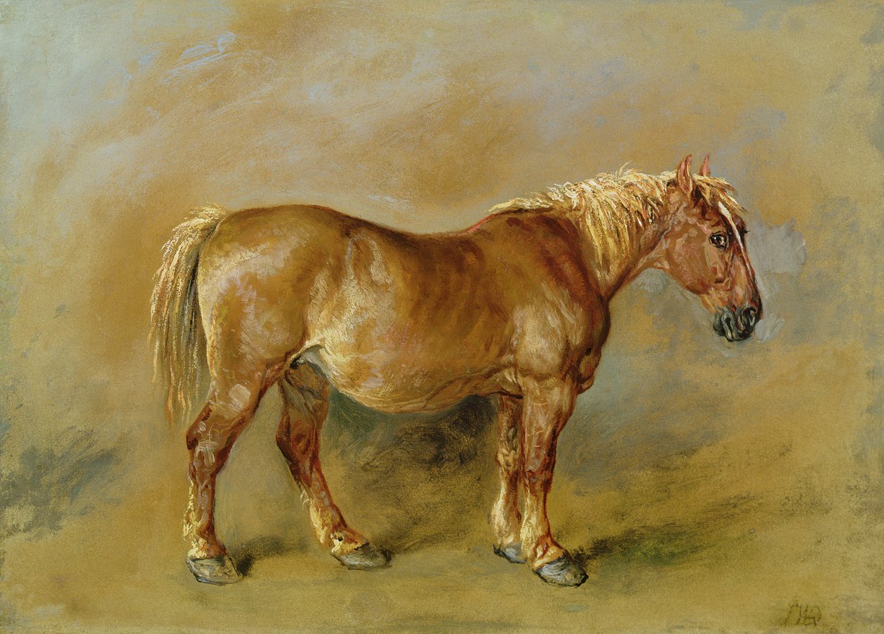 Suffolk Punch (olej na papierze nałożony na płótno) autorstwa James Ward