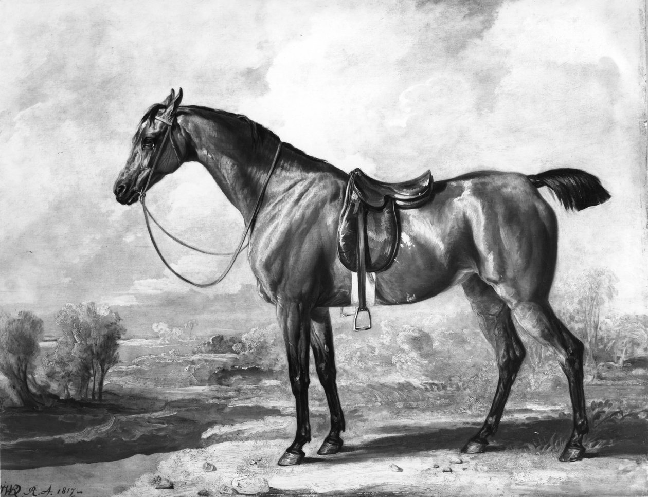 Zatoka Łowcy autorstwa James Ward
