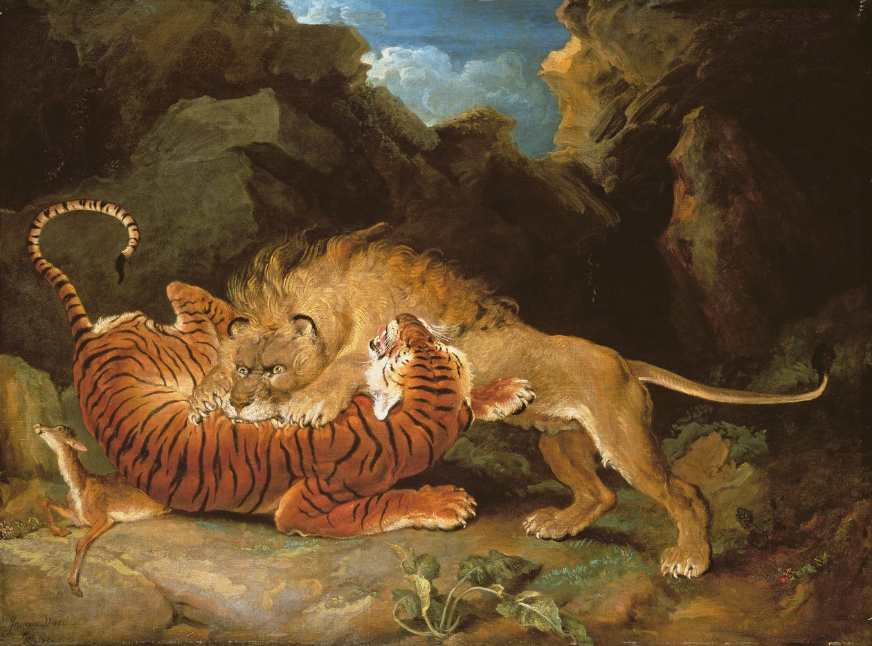 Walka między lwem a tygrysem, 1797 autorstwa James Ward