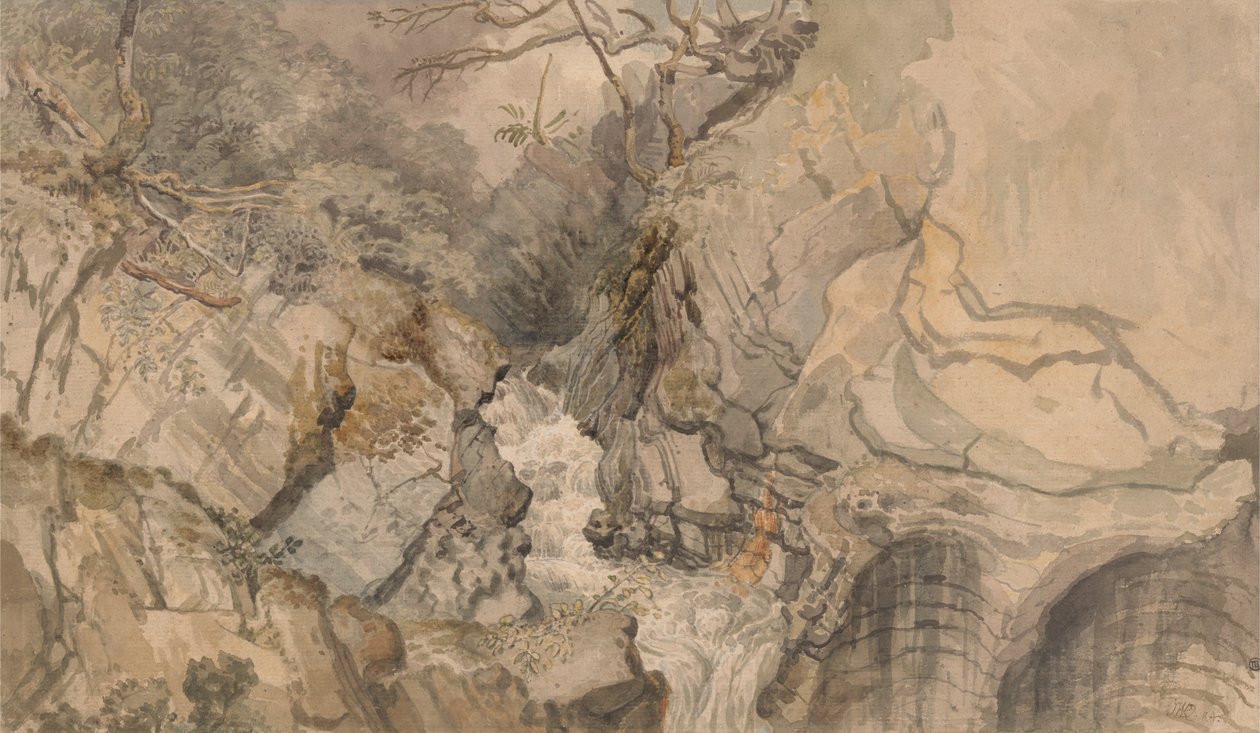 Patrząc w górę z Devils Bridge, Cardiganshire, Walia autorstwa James Ward