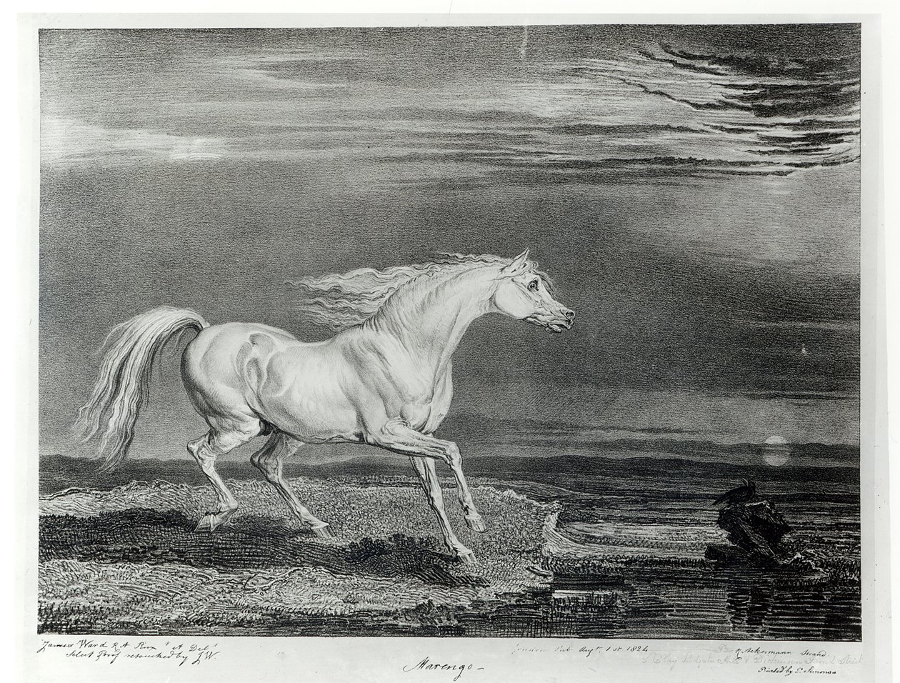 Marengo, grawerowane przez artystę, wyd. przez R. Ackermanna, 1824 autorstwa James Ward