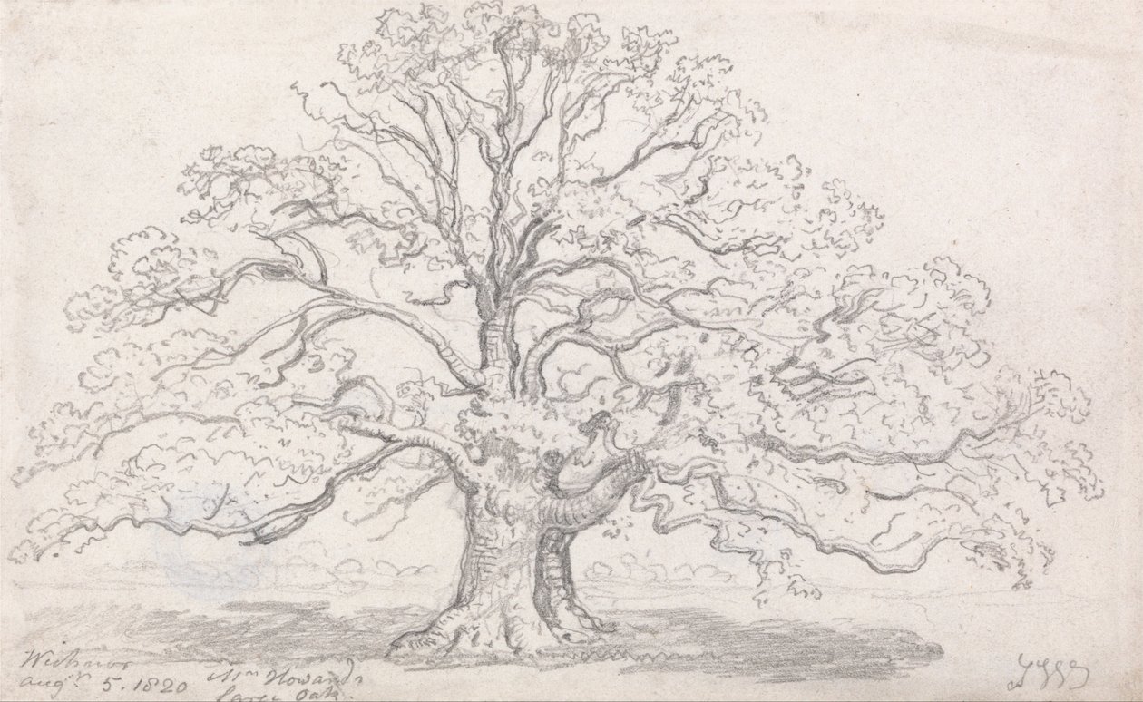 Pan Howards Large Oak, 5 sierpnia 1820 r. autorstwa James Ward