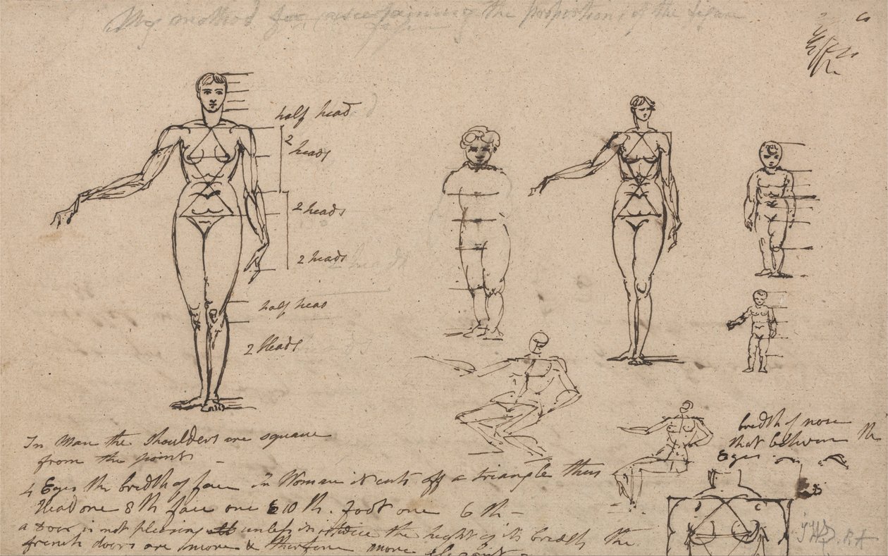 Studia anatomii, pomiarów i pisania autorstwa James Ward