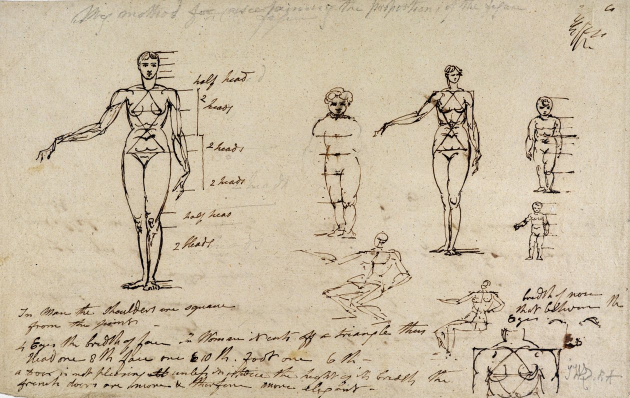 Badania anatomii z pomiarami i pisaniem (pióro i brązowy tusz na papierze) autorstwa James Ward