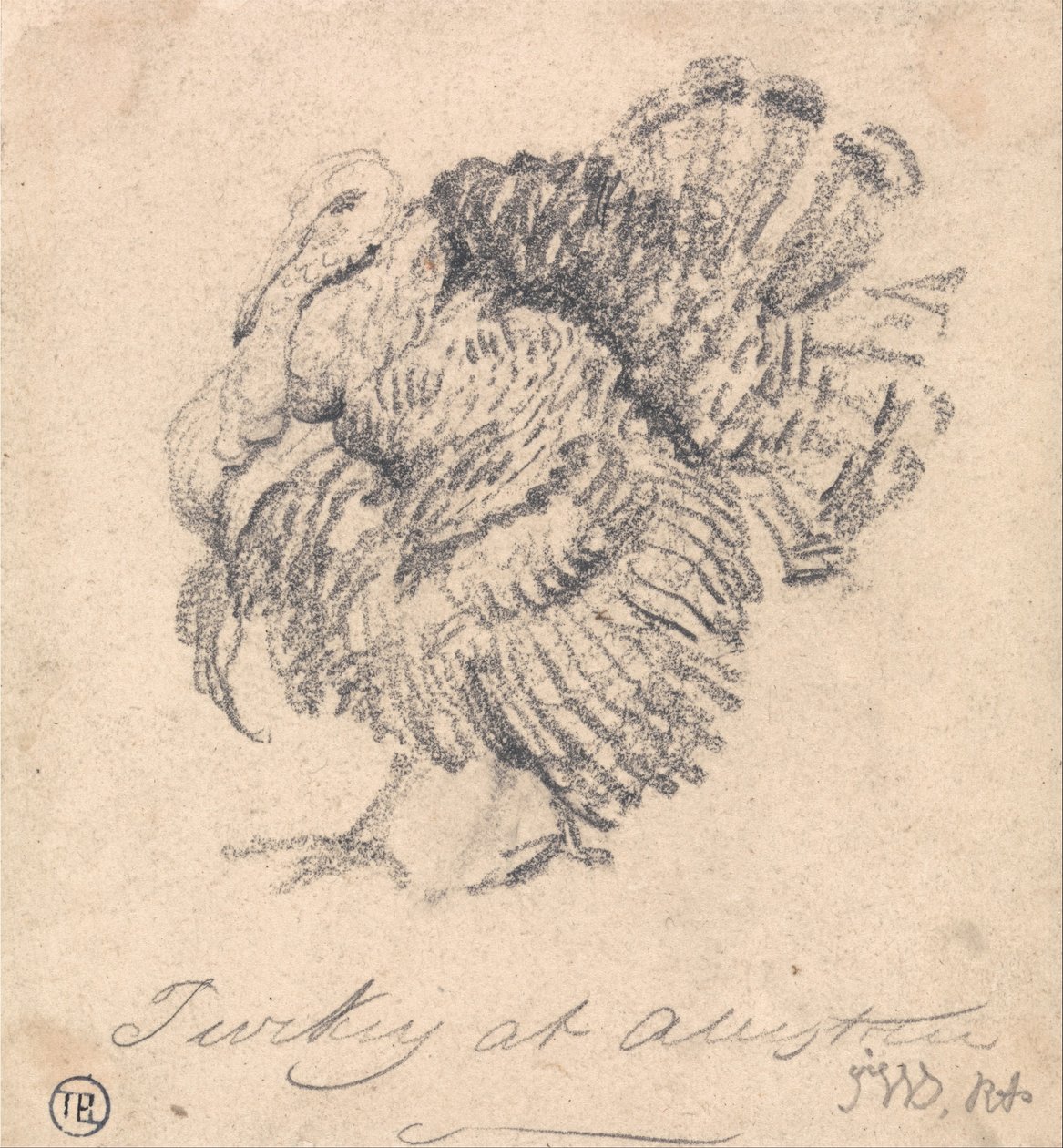 Studium Turcji autorstwa James Ward