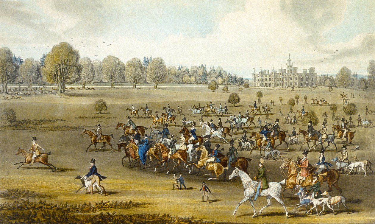 Coursers biorący pole w Hatfield Park, grawerowany przez Jamesa Pollarda (1797-1867) (kolor lito) (patrz także 266807) autorstwa James (after) Pollard