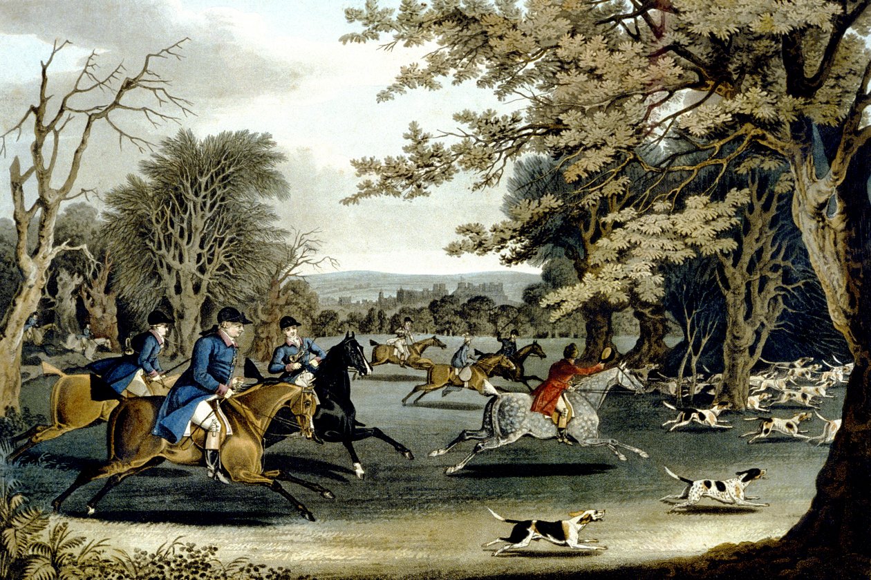 Królewskie polowanie w Windsor Park, grawerowane przez Matthew Dubourga (fl.1813-20) 1829 (kolor lito) autorstwa James (after) Pollard