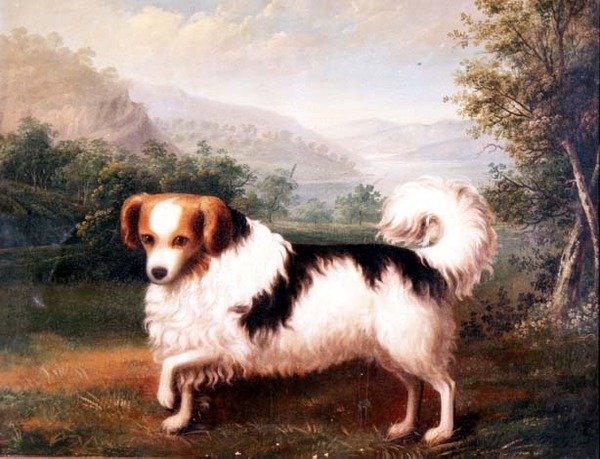 Phallene Papillon w górskim krajobrazie autorstwa James (attr. to) Barenger