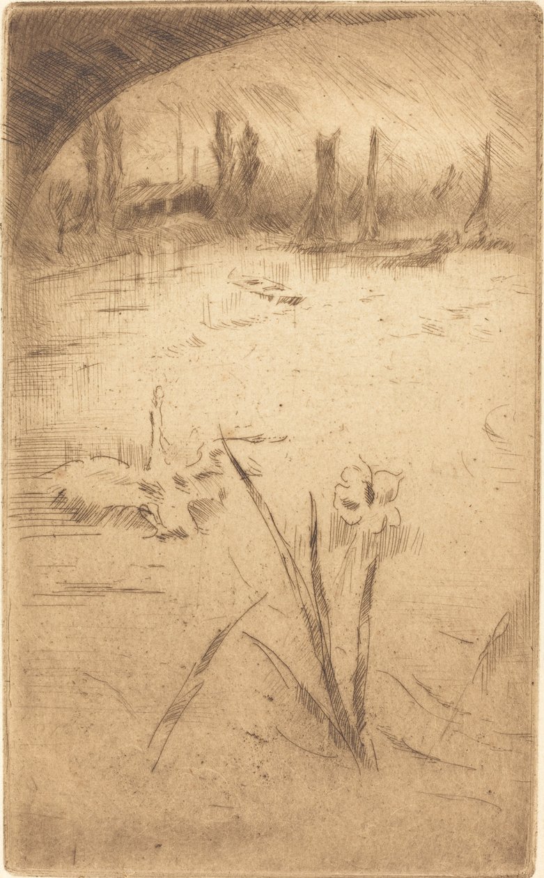 Łabędź i Iris, opublikowany 1883. autorstwa James Abbott McNeill Whistler