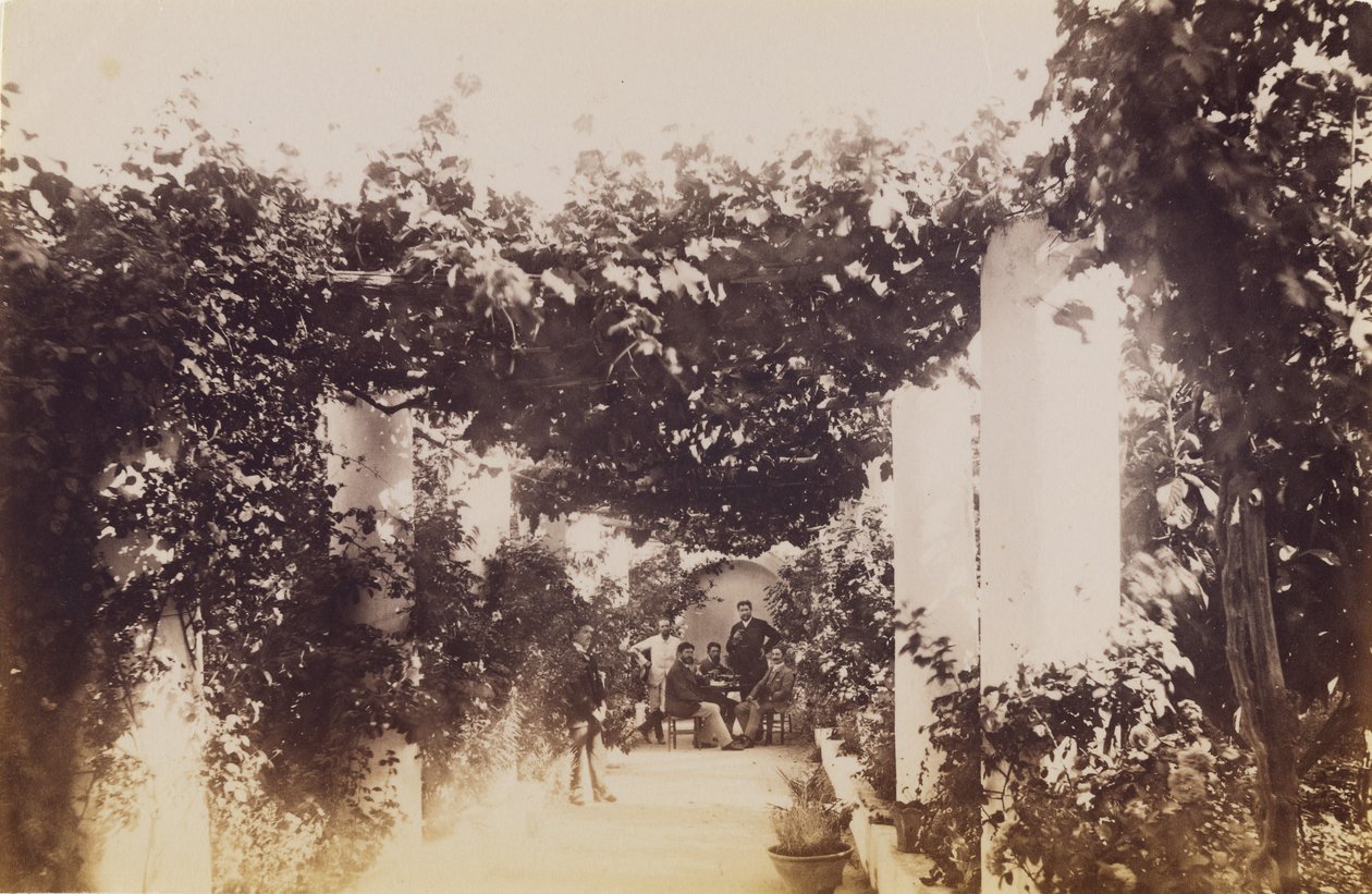 Ogród - Capri autorstwa James Anderson