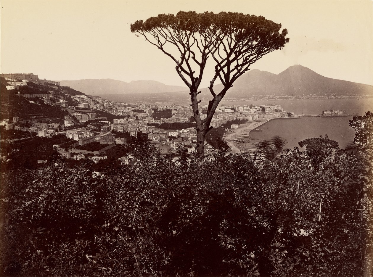 Panorama Neapolu autorstwa James Anderson