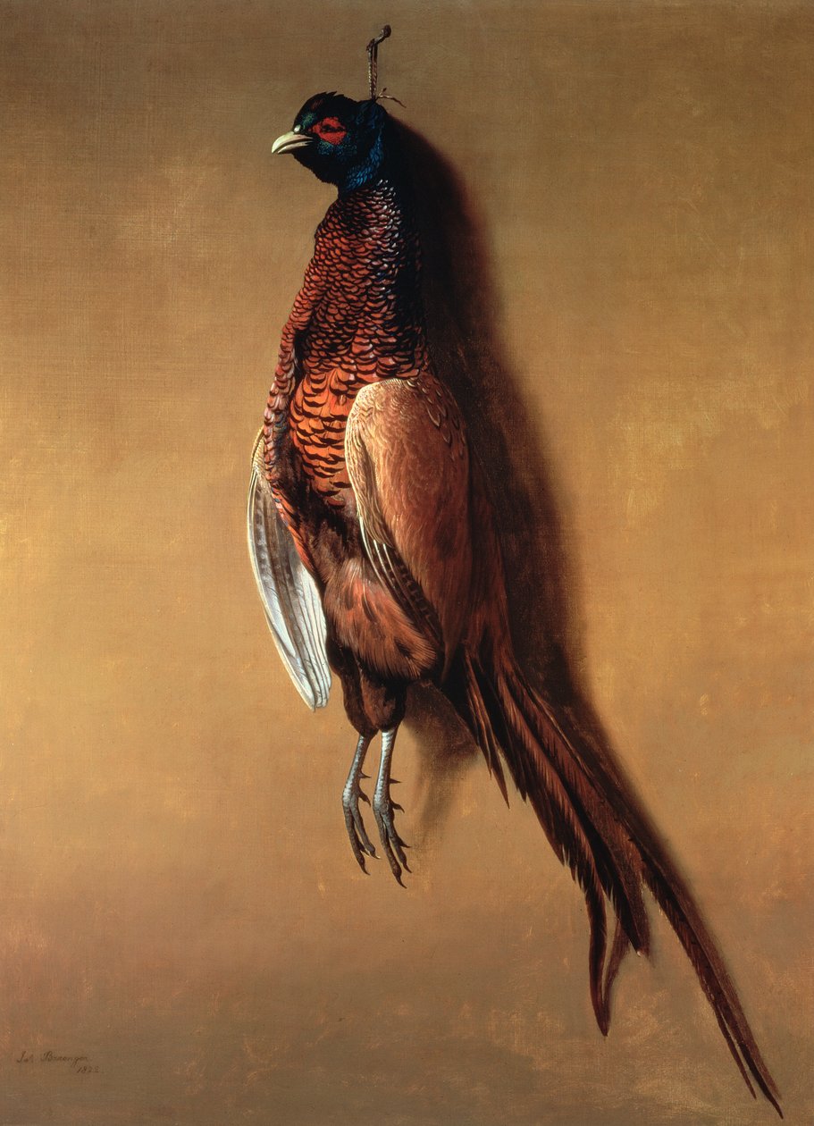 Bażant wiszący kogut, 1822 autorstwa James Barenger