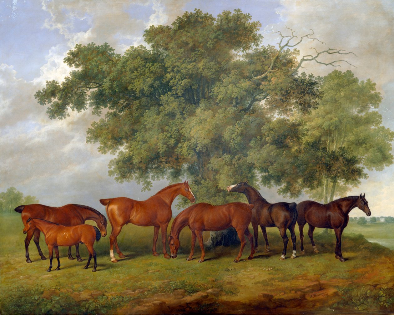 „Stadnina Theobald”, 1825 autorstwa James Barenger