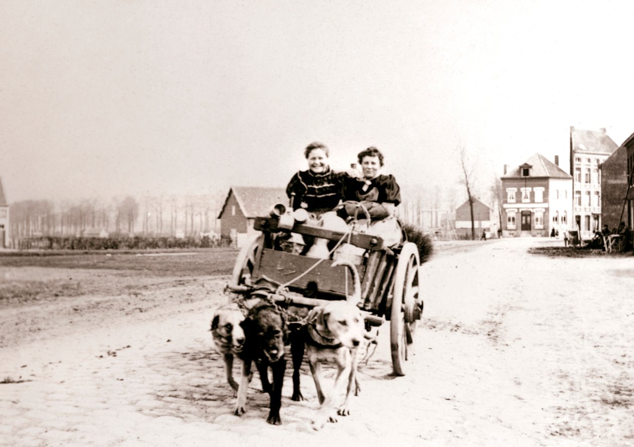 Psy ciągnące kobiety na wozie, Antwerpia, 1898. autorstwa James Batkin