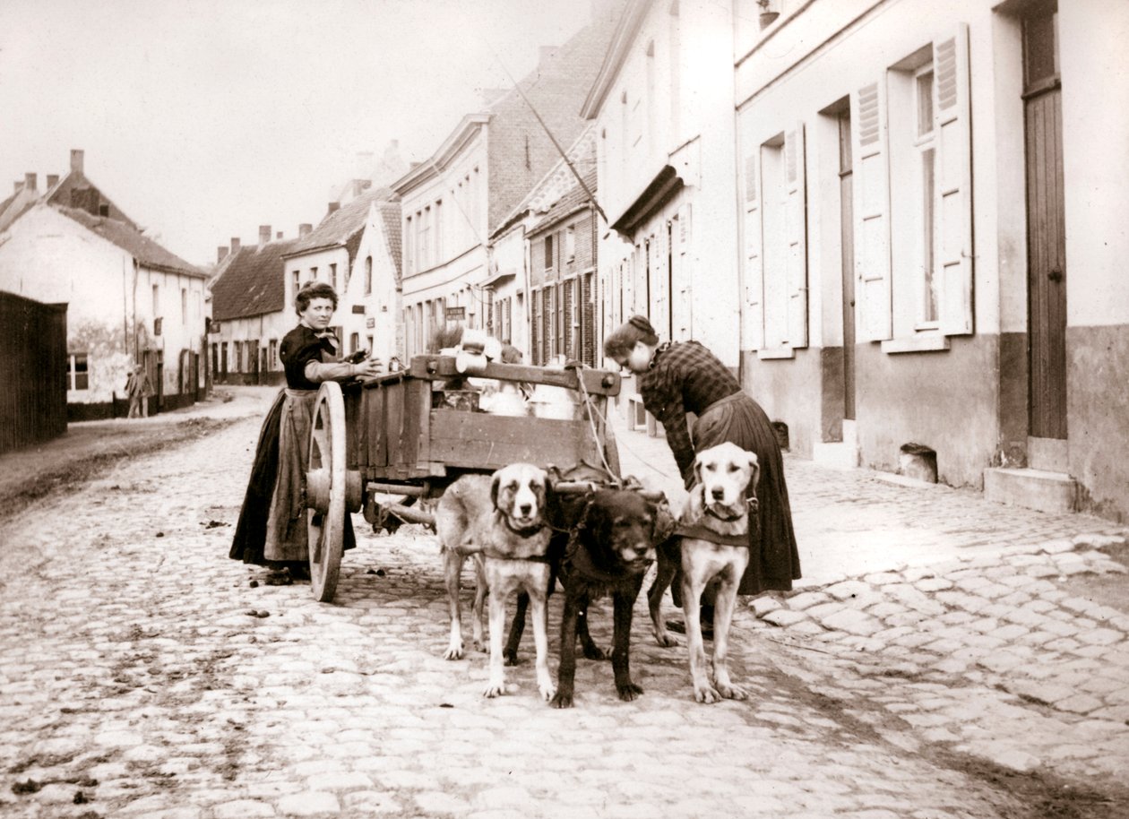 Kobiety i powóz, Antwerpia, 1898 autorstwa James Batkin