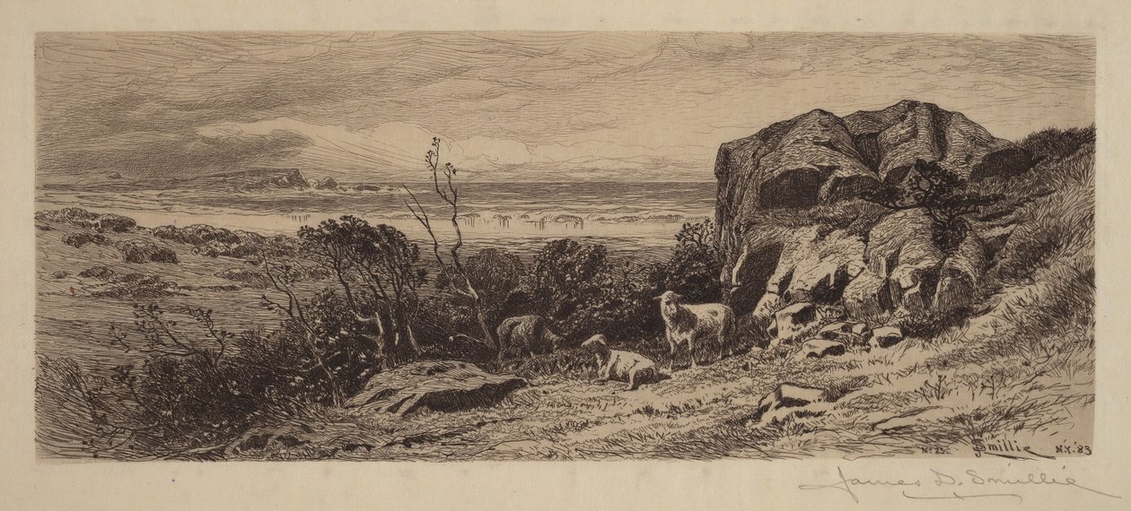 Fragment Marblehead Neck autorstwa James David Smillie