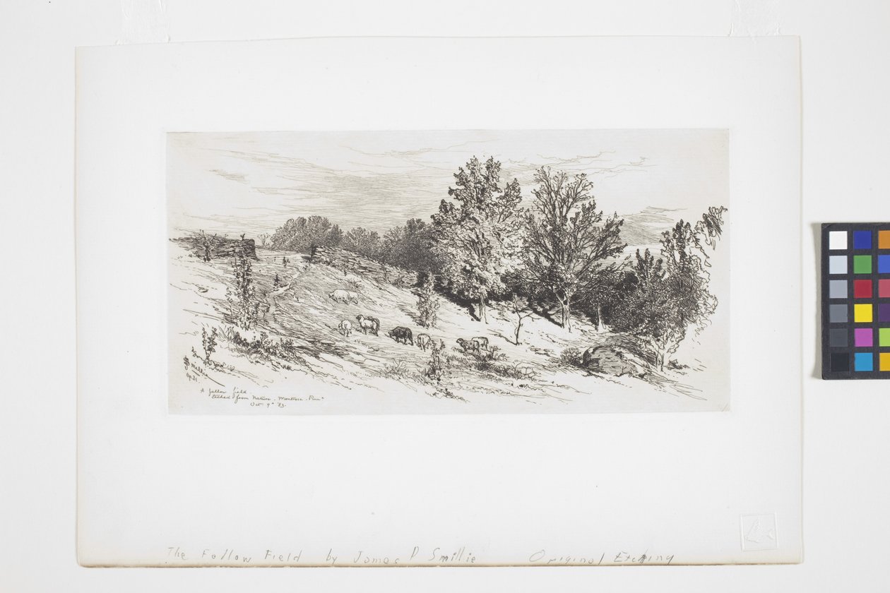 Ugorowane pole (atrament) autorstwa James David Smillie