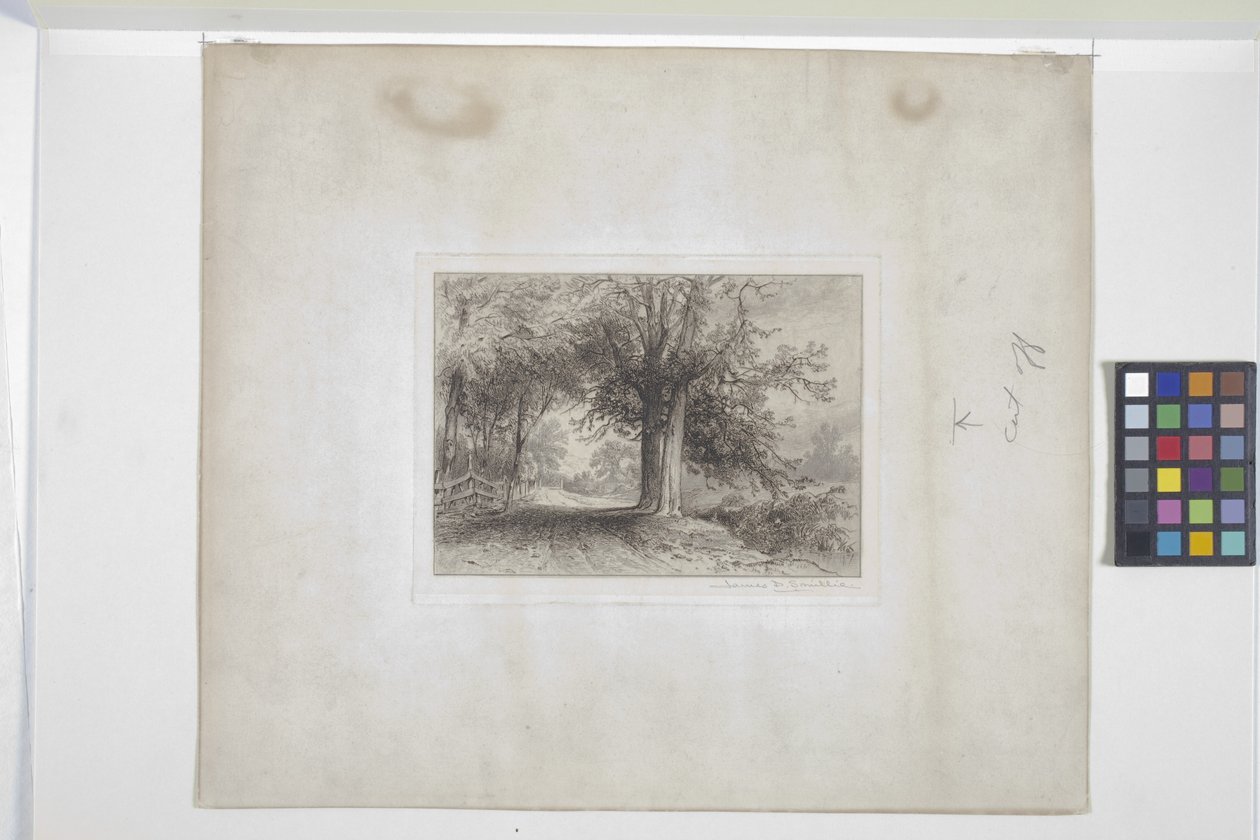 Paisagem (gravura, chine collé) polonês autorstwa James David Smillie