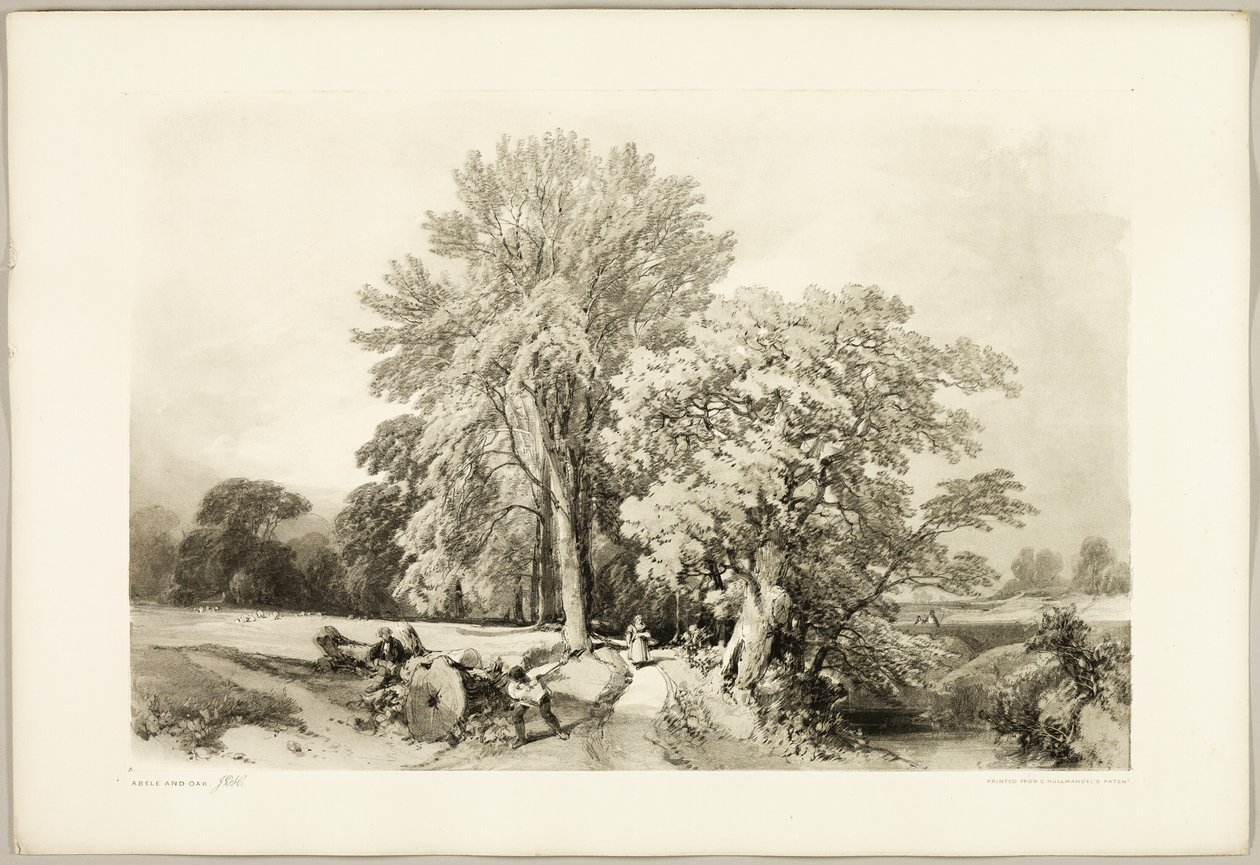 Abele i Dąb, z filmu Park i las autorstwa James Duffield Harding