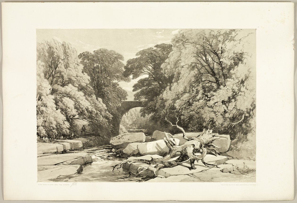 Jesion i Olcha nad Gretą, z filmu Park i Las autorstwa James Duffield Harding