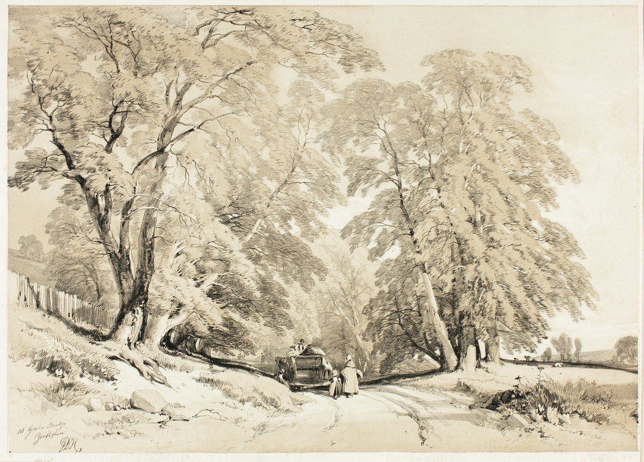 Ash, z Parku i lasu autorstwa James Duffield Harding