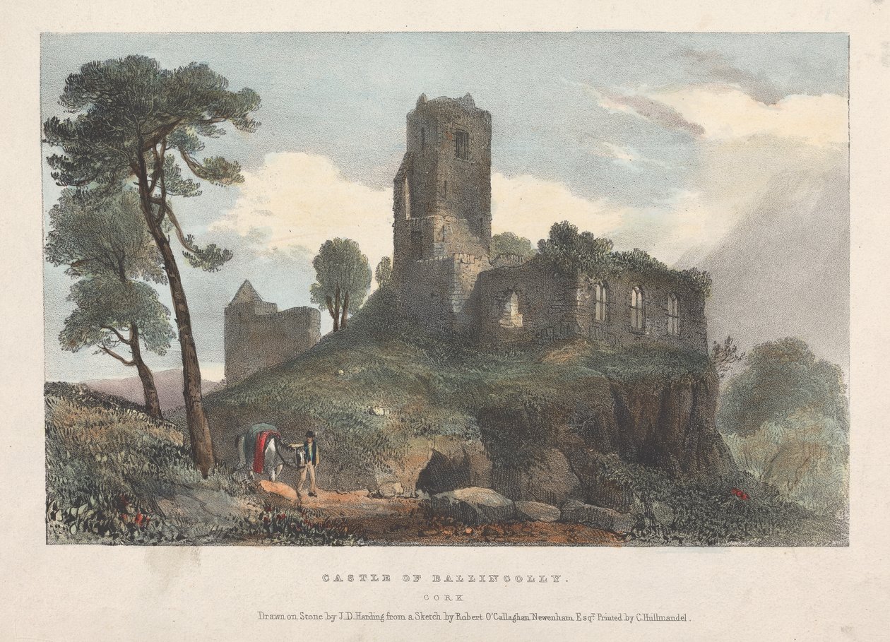 Zamek Ballincolly autorstwa James Duffield Harding