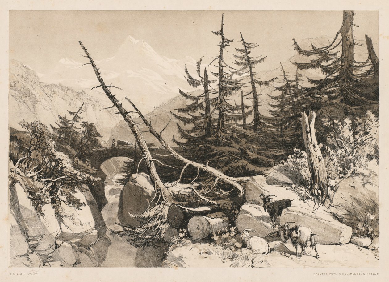 Sosny i most, 1841. autorstwa James Duffield Harding
