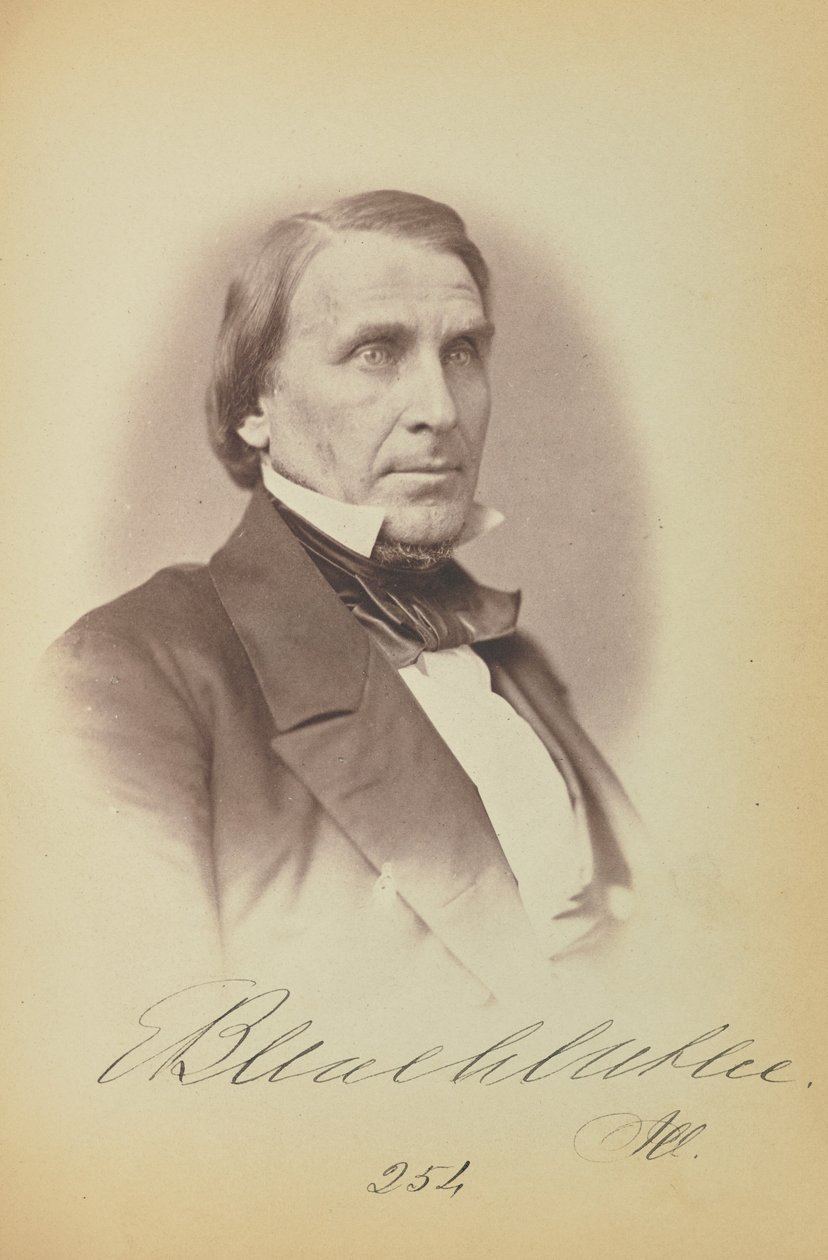 Elihu B. Washburne autorstwa James Earle McClees