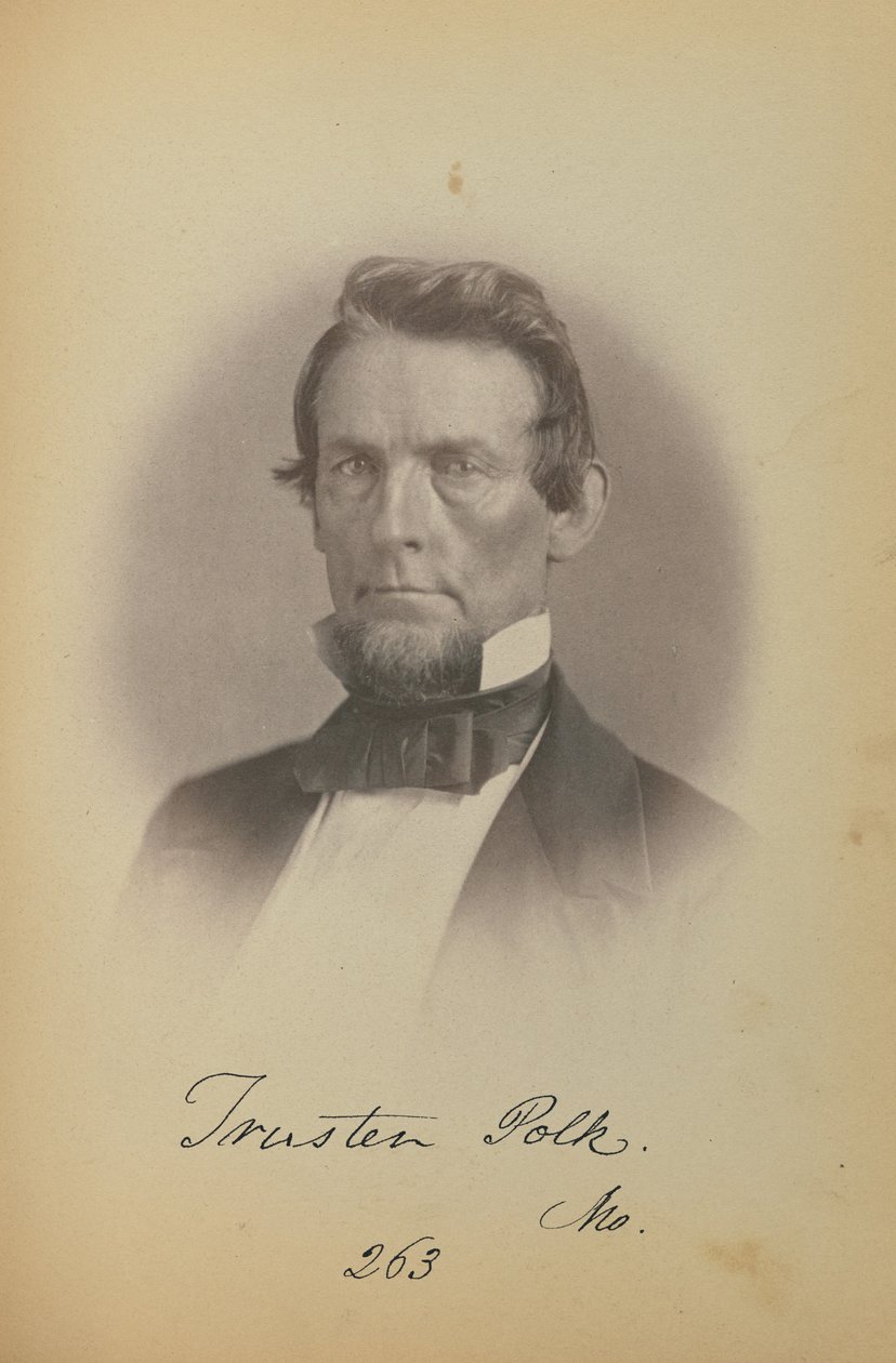 Trusten Polk autorstwa James Earle McClees