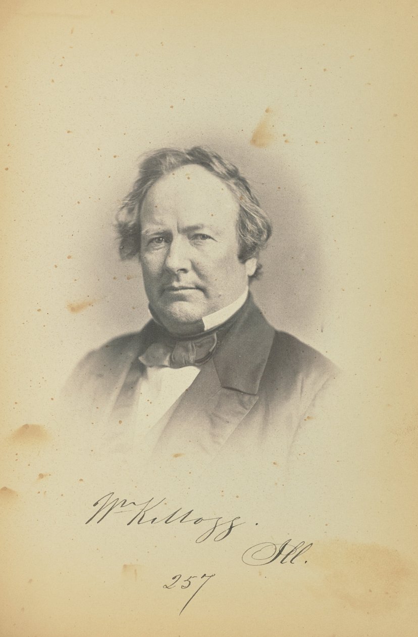William Kellogg autorstwa James Earle McClees