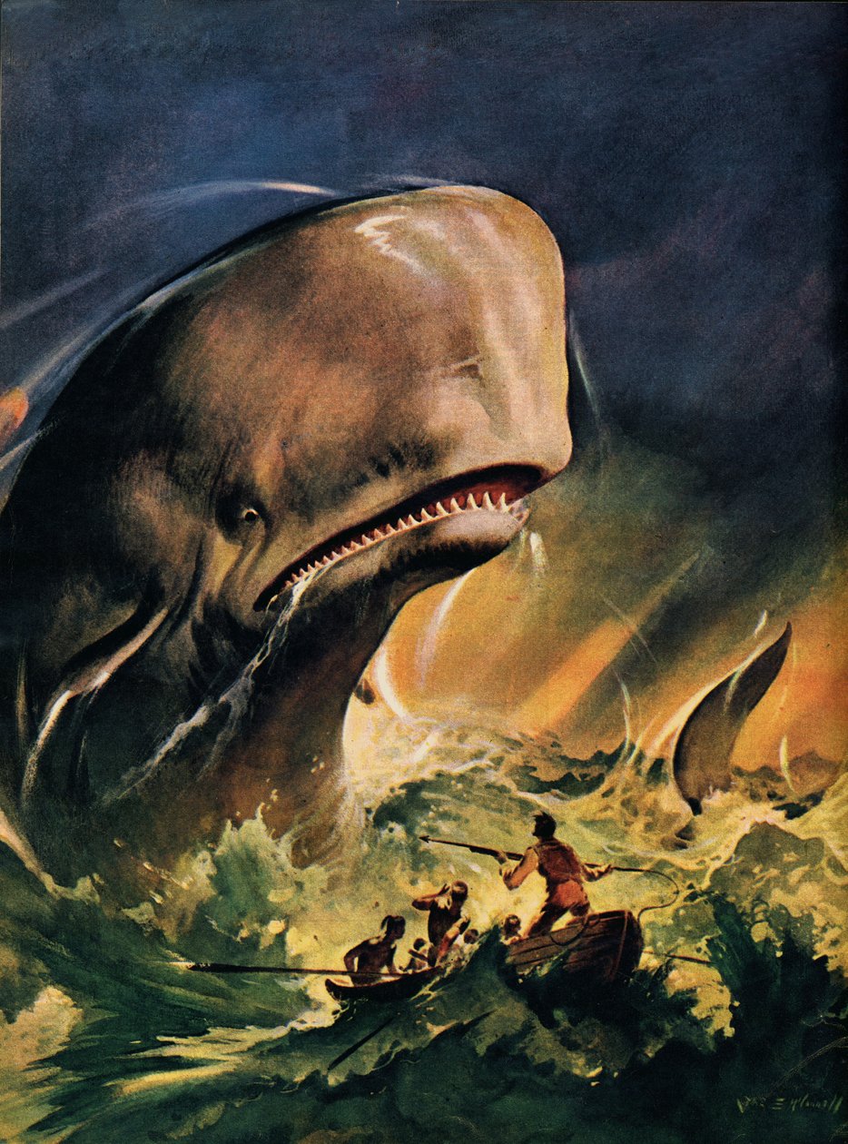 Moby Dick (litografia w kolorze) autorstwa James Edwin McConnell