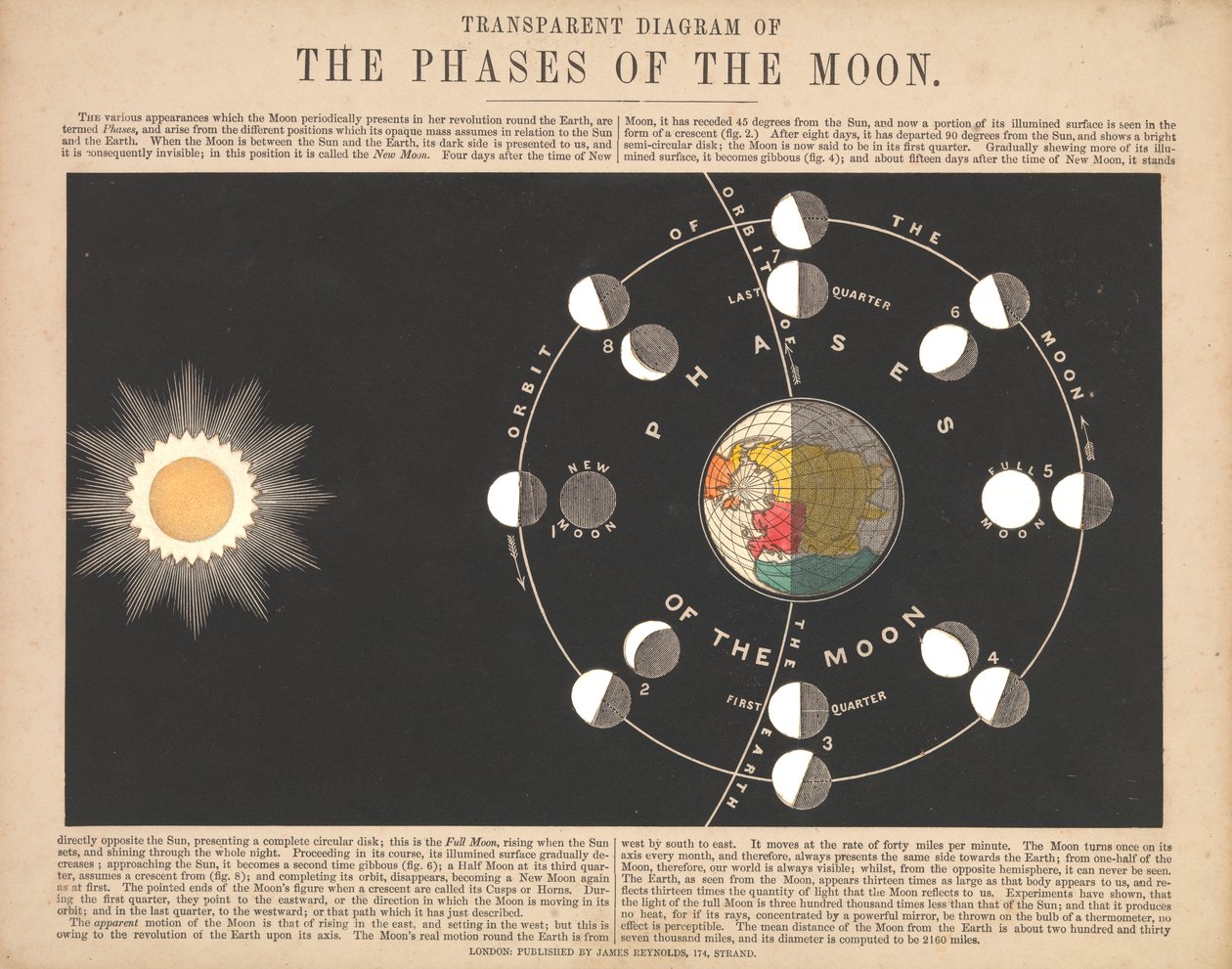 Przezroczysty diagram faz księżyca autorstwa James & Emslie John (1813 75) Reynolds