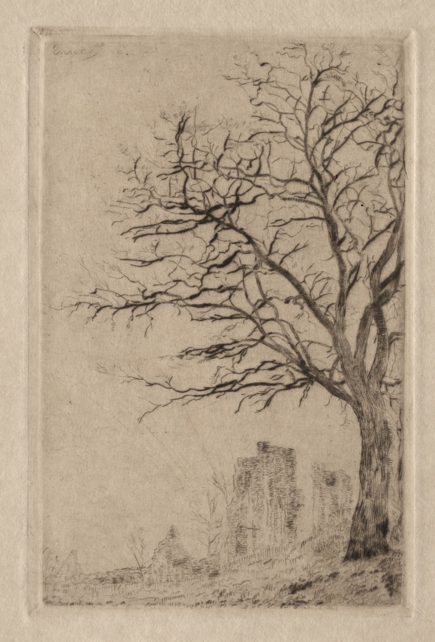Akacja autorstwa James Ensor