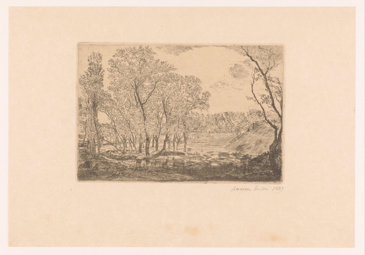 Krajobraz z topolami nad wodą La mare aux peupliers autorstwa James Ensor