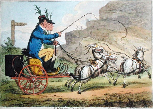 Tandem Welch, wydany przez Hannah Humphrey w 1803 r. (akwaforta ręcznie kolorowana) autorstwa James Gillray