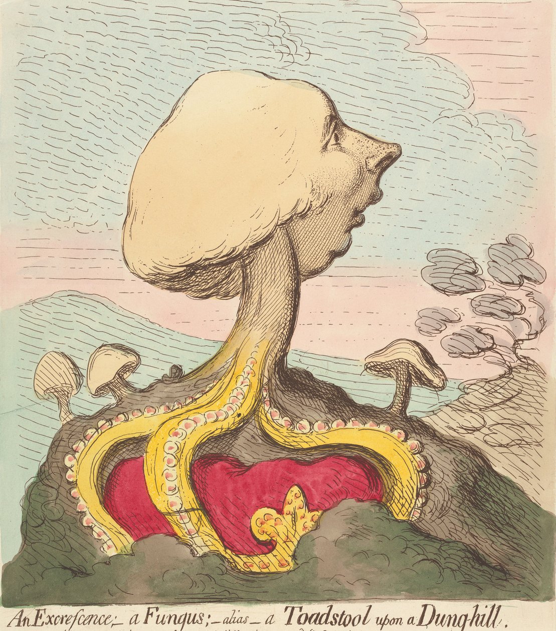 Wyrost; – Grzyb; – Inaczej – Grzyb trujący na kupie obornika autorstwa James Gillray