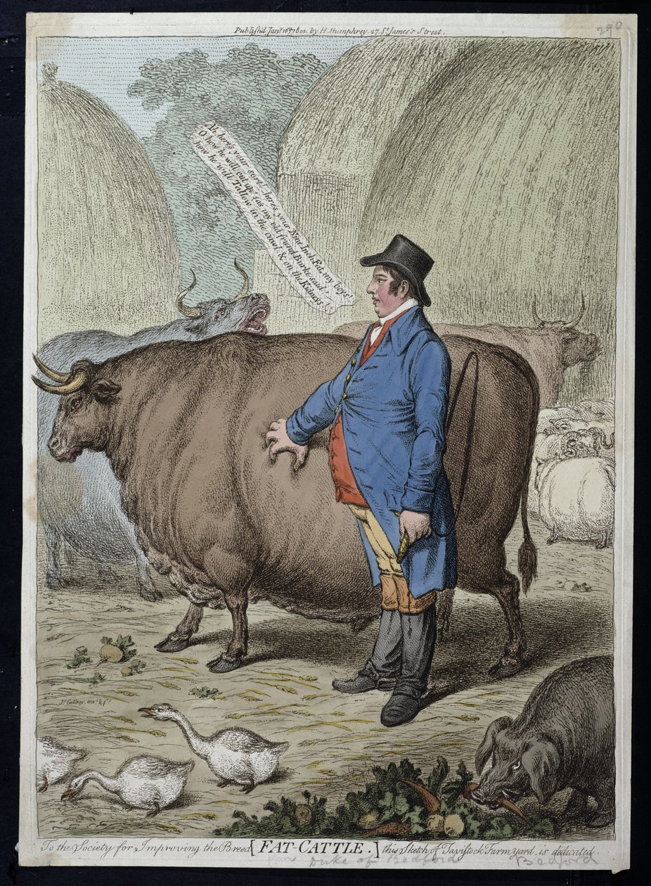 Fat Cattle, wydana przez Hannah Humphrey w 1802 r. (akwaforta ręcznie kolorowana) autorstwa James Gillray