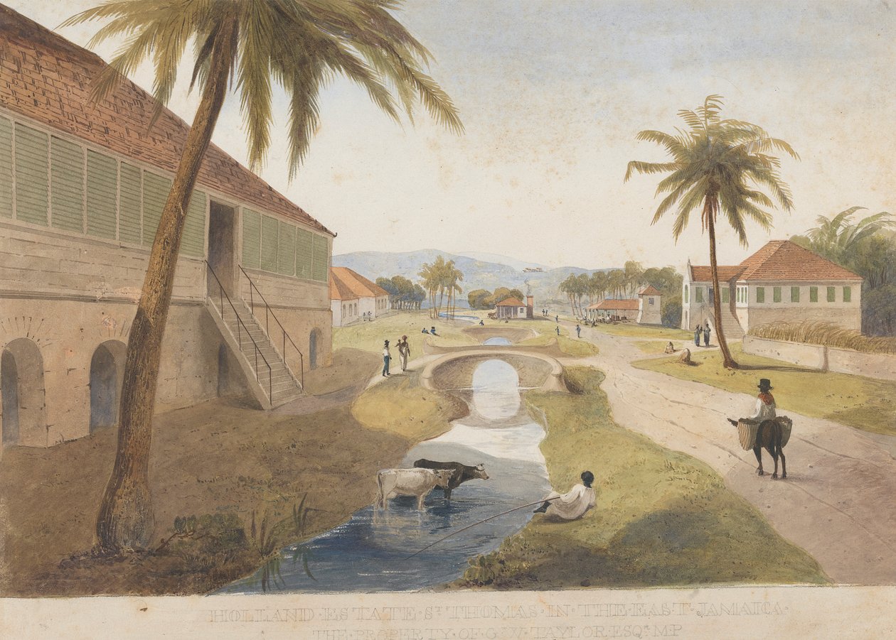 Holland Estate, St. Thomas in the East, Jamajka [Jeden z] autorstwa James Hakewill