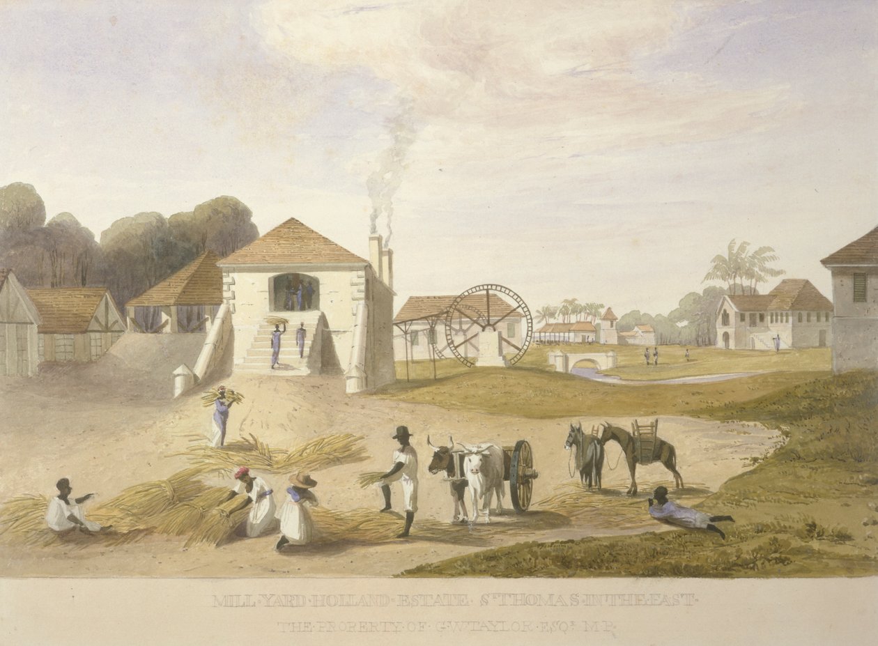 Mill Yard, Holland Estate, St. Thomas na wschodzie autorstwa James Hakewill