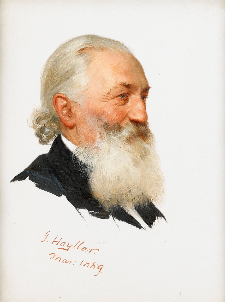 Studium brodatego dżentelmena, 1889 autorstwa James Hayllar