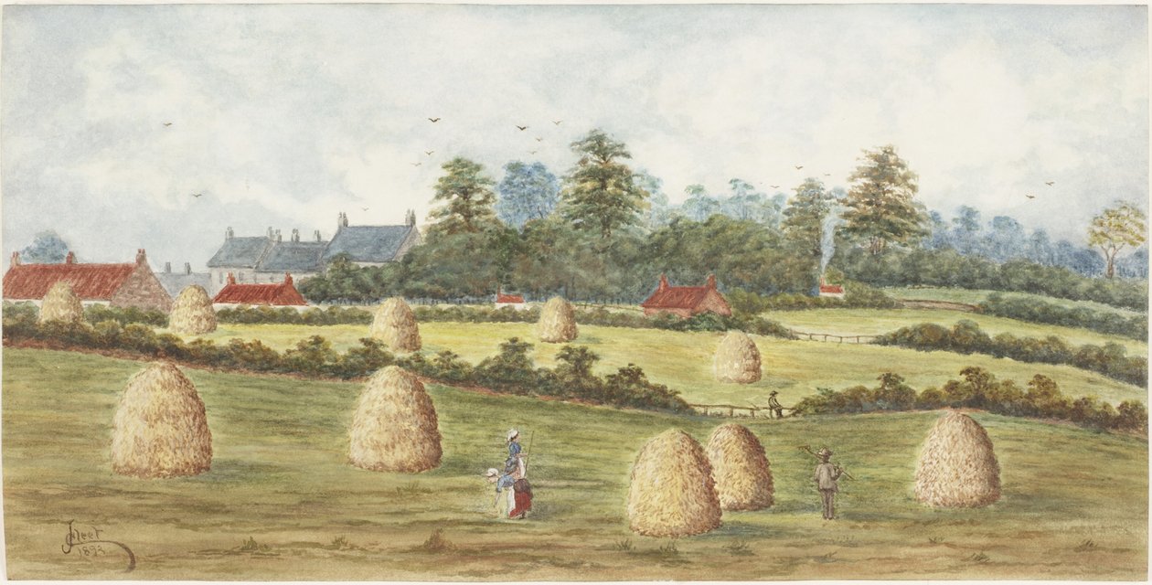 Chirton z Meadowell Farm (akwarela i body na papierze) autorstwa James Henry Cleet