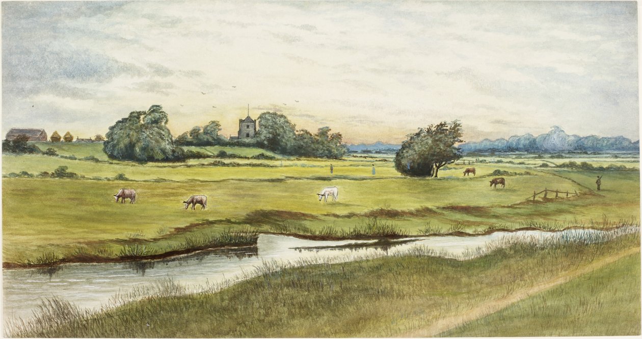 Ryton Meadows (akwarela i bodycolor na papierze) autorstwa James Henry Cleet