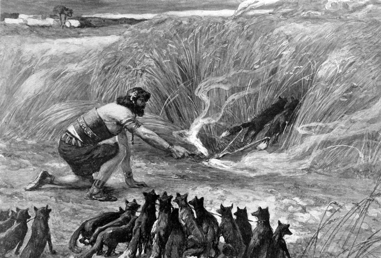 Samson i lisy J James Tissot - Biblia autorstwa James Jacques Joseph (after) Tissot
