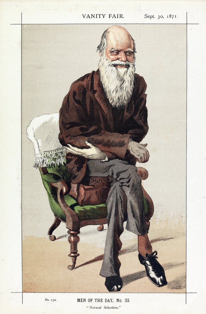 Charles Darwin, Men of the Day, nr 33, Natural Selection, z Vanity Fair, wyd. 1871 autorstwa James Jacques Joseph Tissot