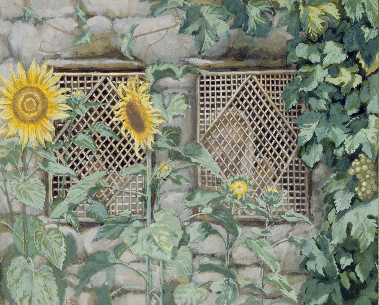 Jezus patrzący przez kratę ze słonecznikami, ilustracja do Życia Chrystusa, ok. 1886-96 (gwasz i toaleta na papierze) autorstwa James Jacques Joseph Tissot